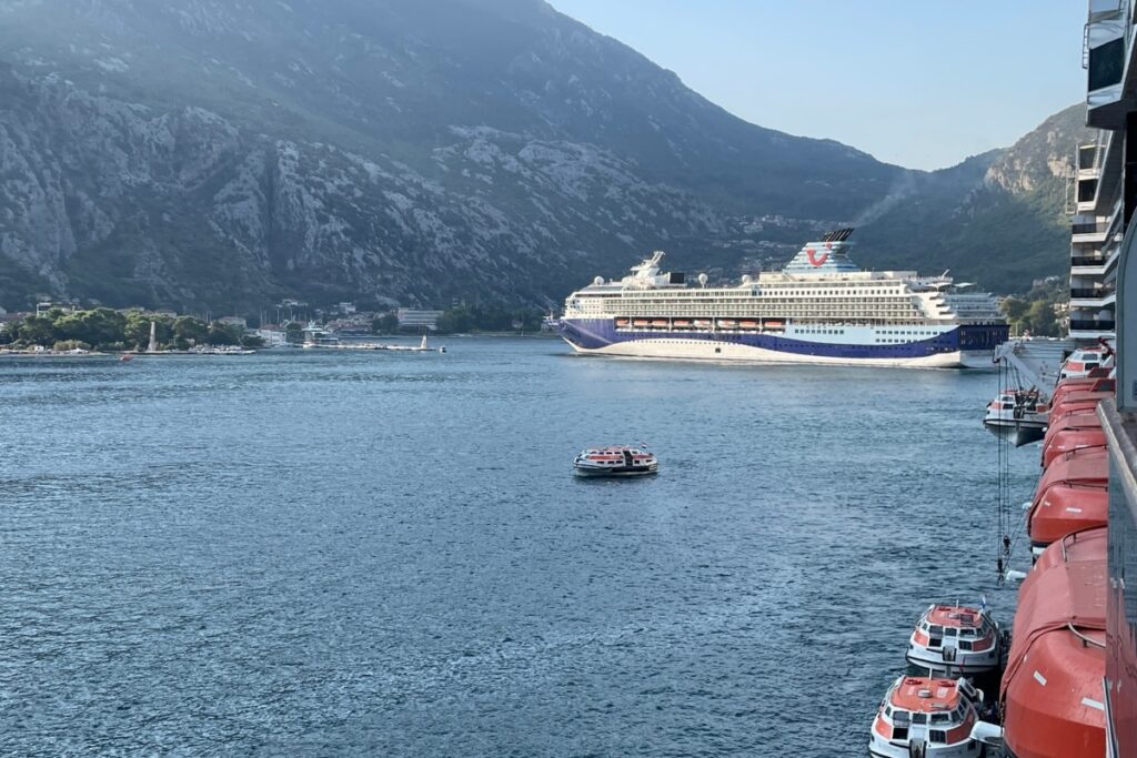 What Is a Tender Boat on a Cruise? What Is a Tender Port?