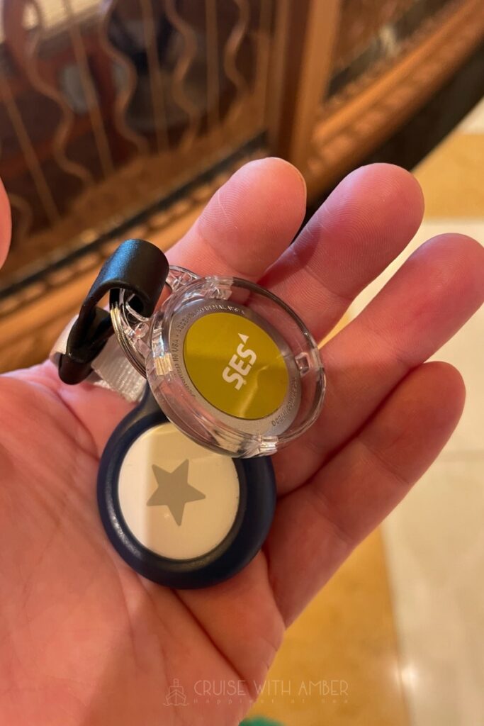 Cruise medallion technology
